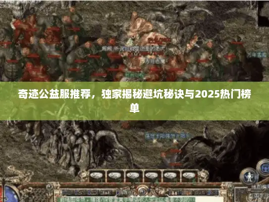 奇迹公益服推荐，独家揭秘避坑秘诀与2025热门榜单