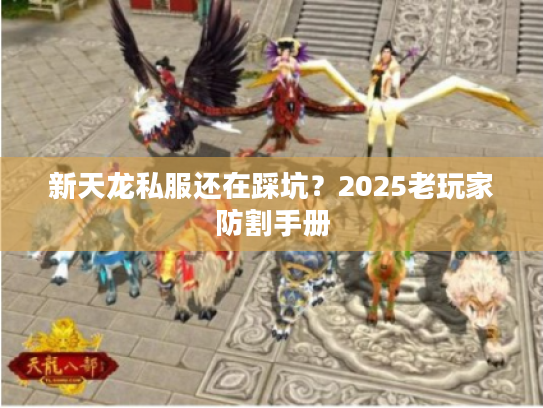 新天龙私服还在踩坑？2025老玩家防割手册