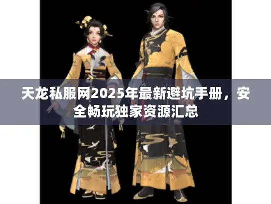 天龙私服网2025年最新避坑手册，安全畅玩独家资源汇总