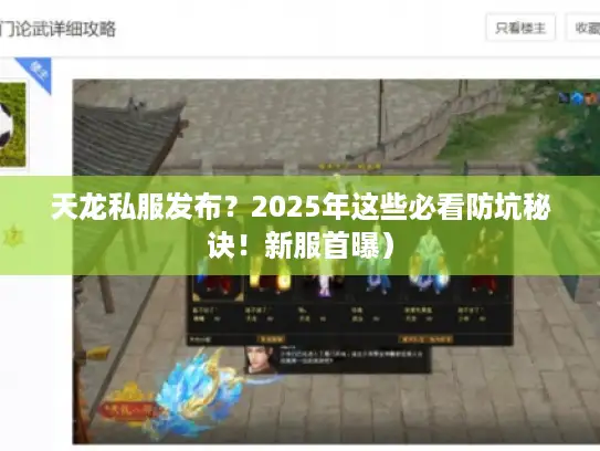 天龙私服发布？2025年这些必看防坑秘诀！新服首曝）