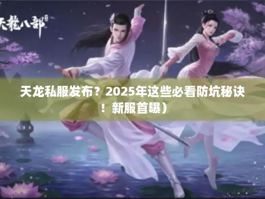 天龙私服发布？2025年这些必看防坑秘诀！新服首曝）