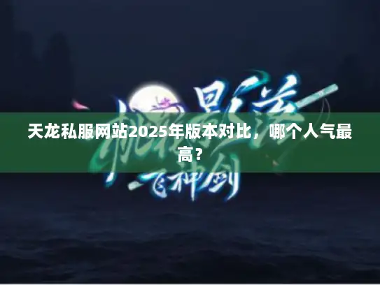 天龙私服网站2025年版本对比，哪个人气最高？