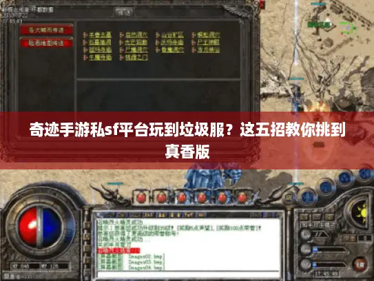 奇迹手游私sf平台玩到垃圾服？这五招教你挑到真香版