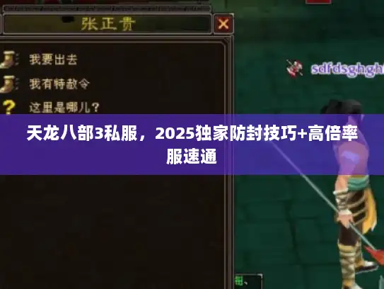 天龙八部3私服，2025独家防封技巧+高倍率服速通