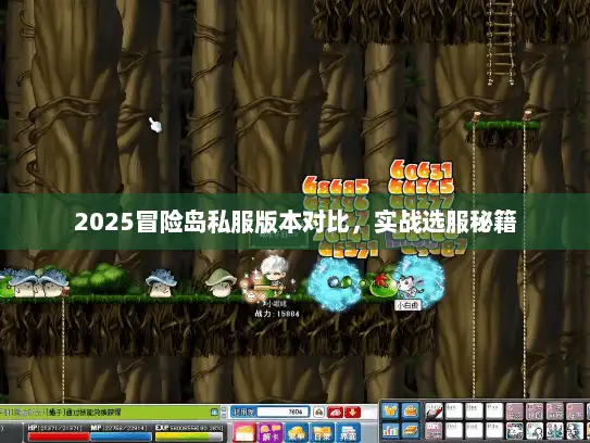 2025冒险岛私服版本对比，实战选服秘籍