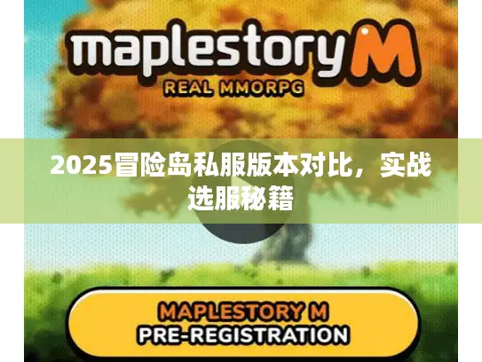 2025冒险岛私服版本对比,实战选服秘籍 2025冒险岛私服版本对比,实战选服秘籍