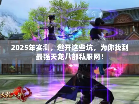 2025年实测，避开这些坑，为你找到最强天龙八部私服网！