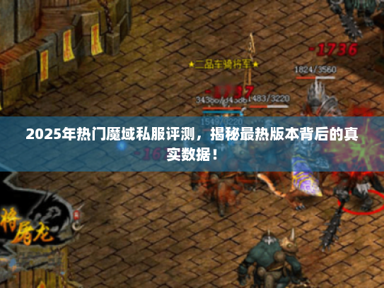2025年热门魔域私服评测，揭秘最热版本背后的真实数据！