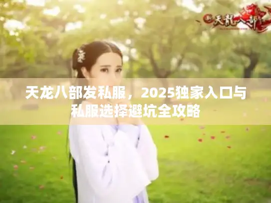 天龙八部发私服，2025独家入口与私服选择避坑全攻略