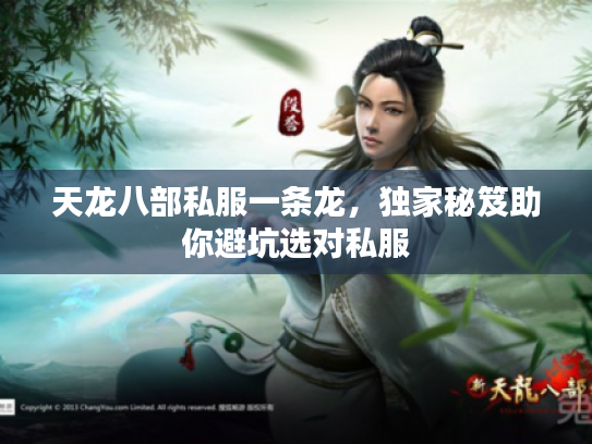 天龙八部私服一条龙，独家秘笈助你避坑选对私服