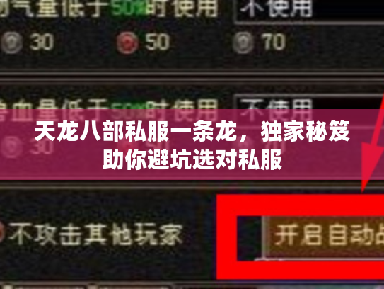 天龙八部私服一条龙，独家秘笈助你避坑选对私服
