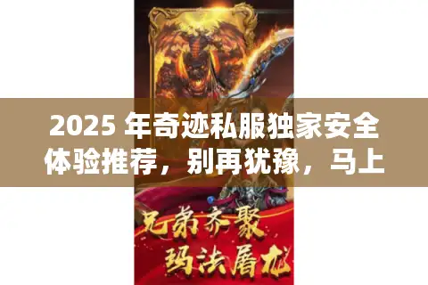 2025 年奇迹私服独家安全体验推荐，别再犹豫，马上行动！