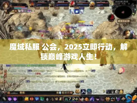 魔域私服 公会，2025立即行动，解锁巅峰游戏人生！