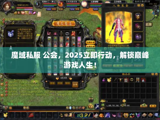 魔域私服 公会，2025立即行动，解锁巅峰游戏人生！