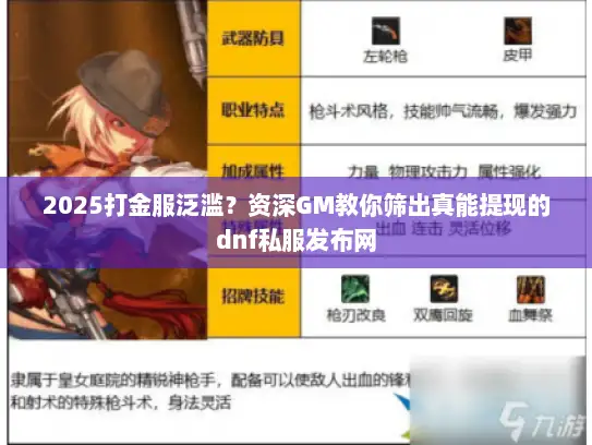 2025打金服泛滥？资深GM教你筛出真能提现的dnf私服发布网