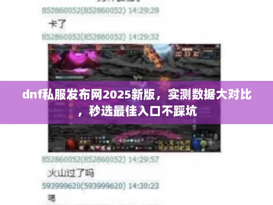 dnf私服发布网2025新版，实测数据大对比，秒选最佳入口不踩坑
