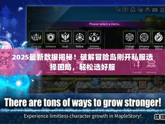 2025最新数据揭秘！破解冒险岛刚开私服选择困局，轻松选好服
