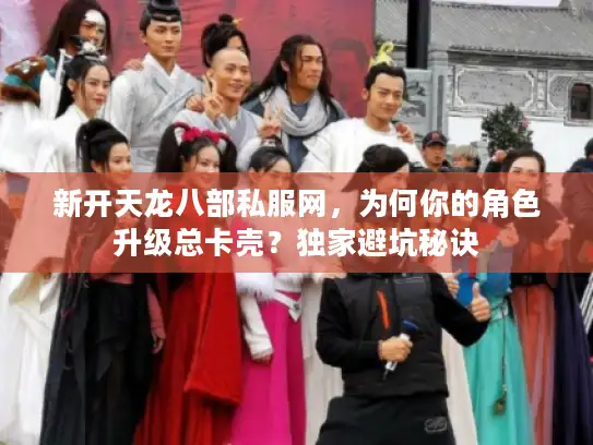 新开天龙八部私服网，为何你的角色升级总卡壳？独家避坑秘诀