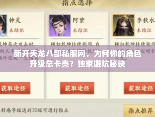 新开天龙八部私服网，为何你的角色升级总卡壳？独家避坑秘诀