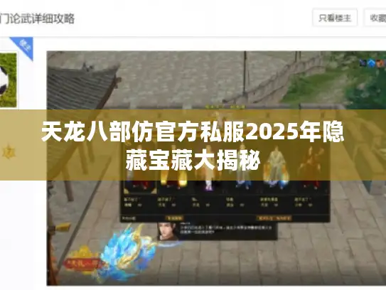 天龙八部仿官方私服2025年隐藏宝藏大揭秘