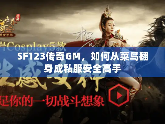 SF123传奇GM，如何从菜鸟翻身成私服安全高手