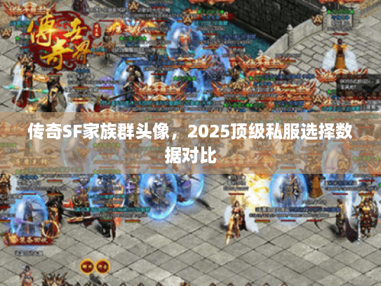 传奇SF家族群头像，2025顶级私服选择数据对比