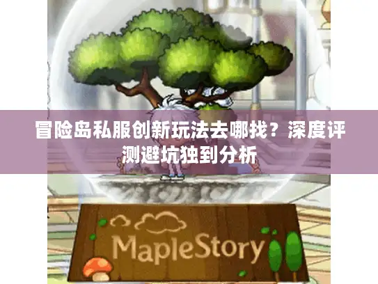 冒险岛私服创新玩法去哪找？深度评测避坑独到分析