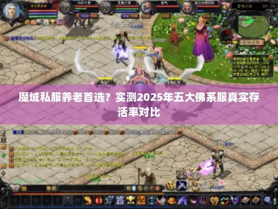 魔域私服养老首选?实测2025年五大佛系服真实存活率对比 魔域私服养老首选?实测2025年五大佛系服真实存活率对比