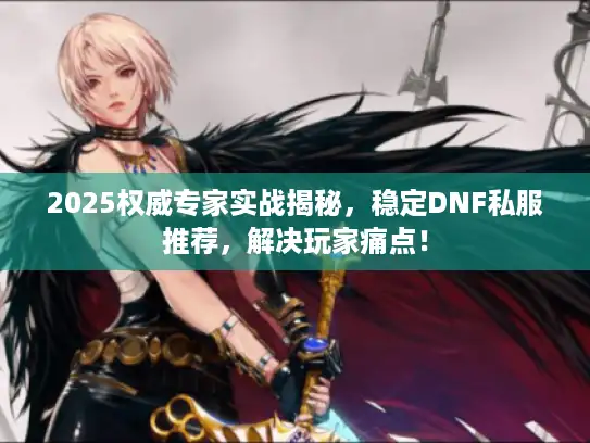 2025权威专家实战揭秘，稳定DNF私服推荐，解决玩家痛点！