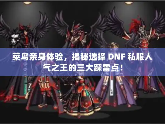 菜鸟亲身体验,揭秘选择 DNF 私服人气之王的三大踩雷点! 菜鸟亲身体验,揭秘选择 DNF 私服人气之王的三大踩雷点!