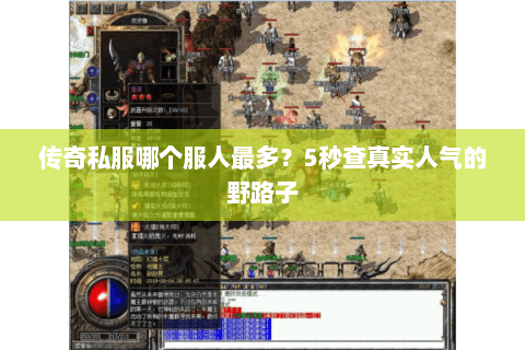 传奇私服哪个服人最多？5秒查真实人气的野路子