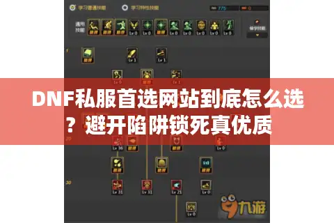 DNF私服首选网站到底怎么选?避开陷阱锁死真优质 DNF私服首选网站到底怎么选?避开陷阱锁死真优质