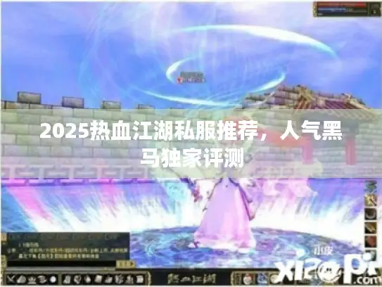 2025热血江湖私服推荐，人气黑马独家评测