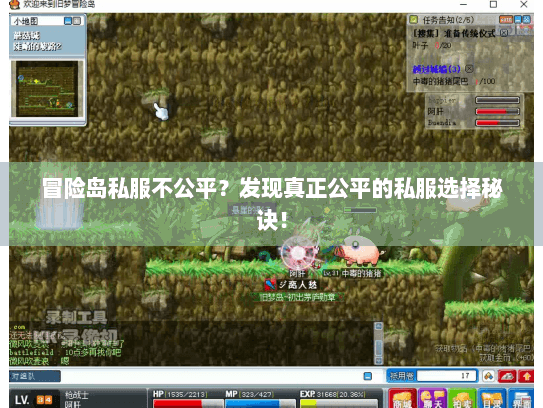 冒险岛私服不公平?发现真正公平的私服选择秘诀! 冒险岛私服不公平?发现真正公平的私服选择秘诀!