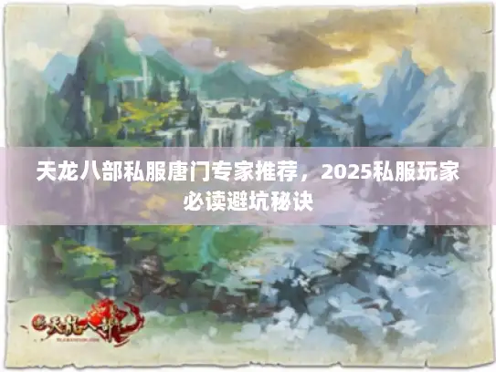 天龙八部私服唐门专家推荐，2025私服玩家必读避坑秘诀