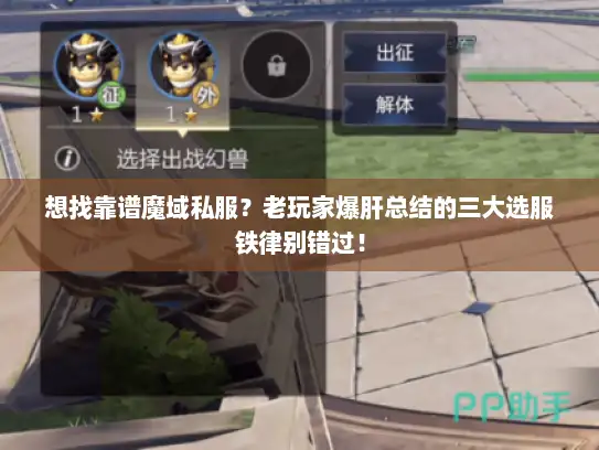 想找靠谱魔域私服？老玩家爆肝总结的三大选服铁律别错过！