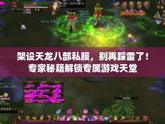 架设天龙八部私服，别再踩雷了！专家秘籍解锁专属游戏天堂