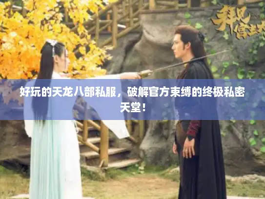 好玩的天龙八部私服，破解官方束缚的终极私密天堂！