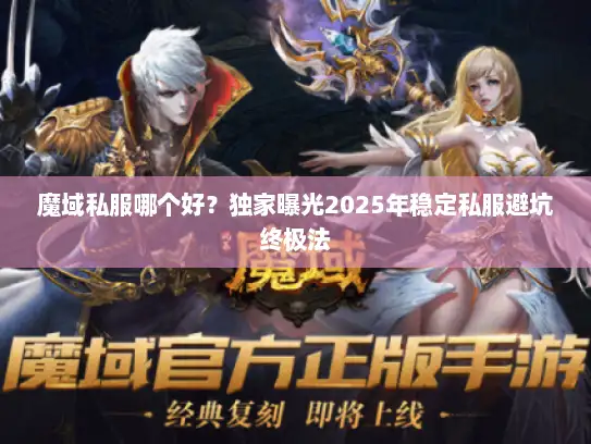 魔域私服哪个好？独家曝光2025年稳定私服避坑终极法