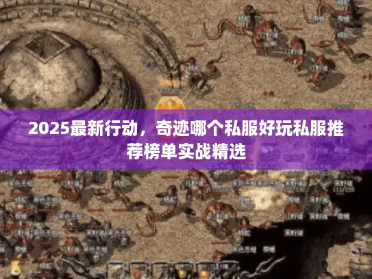 2025最新行动，奇迹哪个私服好玩私服推荐榜单实战精选