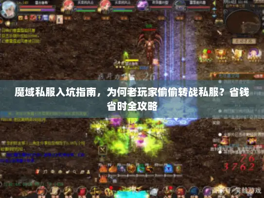 魔域私服入坑指南，为何老玩家偷偷转战私服？省钱省时全攻略