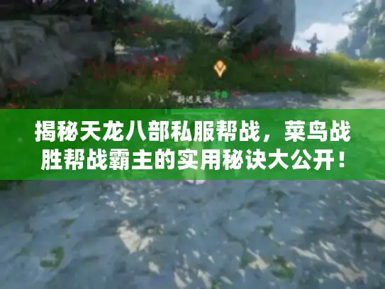揭秘天龙八部私服帮战,菜鸟战胜帮战霸主的实用秘诀大公开! 揭秘天龙八部私服帮战,菜鸟战胜帮战霸主的实用秘诀大公开!