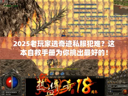 2025老玩家选奇迹私服犯难？这本自救手册为你挑出最好的！