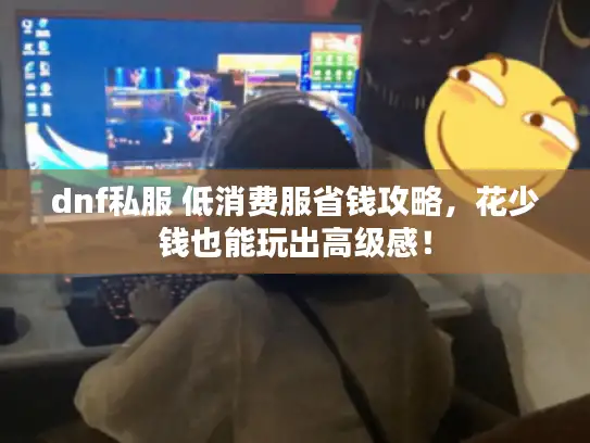 dnf私服 低消费服省钱攻略,花少钱也能玩出高级感! dnf私服 低消费服省钱攻略,花少钱也能玩出高级感!