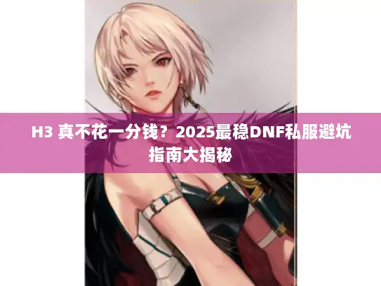H3 真不花一分钱？2025最稳DNF私服避坑指南大揭秘
