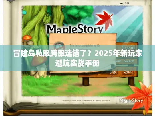 冒险岛私服跨服选错了？2025年新玩家避坑实战手册