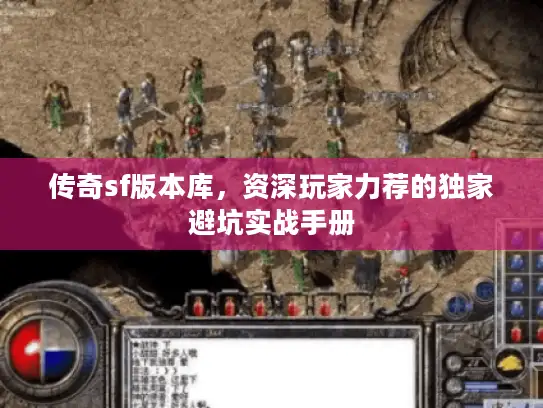 传奇sf版本库，资深玩家力荐的独家避坑实战手册
