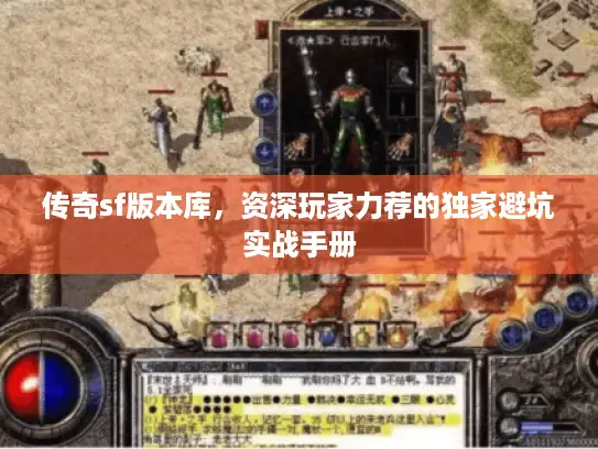 传奇sf版本库，资深玩家力荐的独家避坑实战手册