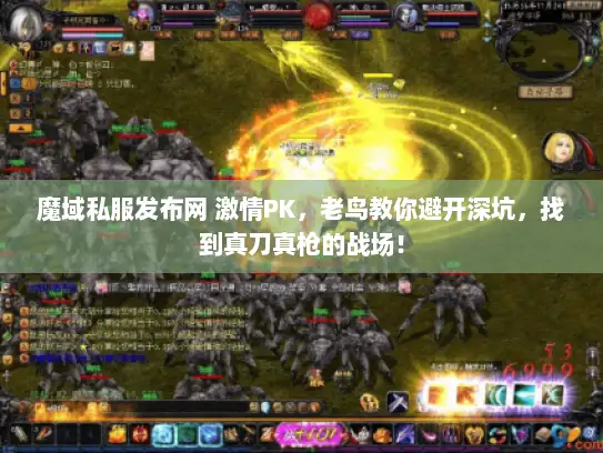 魔域私服发布网 激情PK，老鸟教你避开深坑，找到真刀真枪的战场！