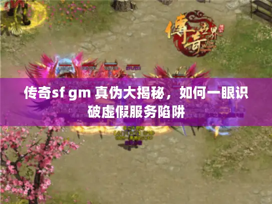 传奇sf gm 真伪大揭秘，如何一眼识破虚假服务陷阱